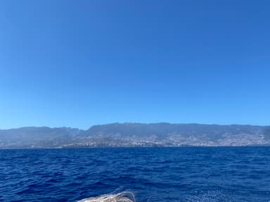 DIS Conference Trip - Madeira